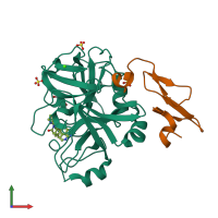 PDB entry 4zxy coloured by chain, front view.