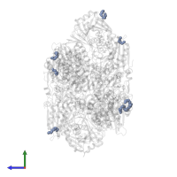 PENTAETHYLENE GLYCOL in PDB entry 4zyq, assembly 2, side view.