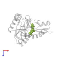 GLYCINAMIDE RIBONUCLEOTIDE in PDB entry 4zyt, assembly 1, top view.