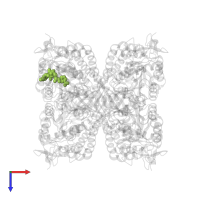 NICOTINAMIDE-ADENINE-DINUCLEOTIDE in PDB entry 4zz7, assembly 2, top view.