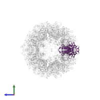 Proteasome subunit beta type-6 in PDB entry 5a0q, assembly 1, side view.