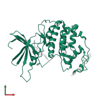 Cyclin-dependent kinase 2 in PDB entry 5a14, assembly 1, front view.