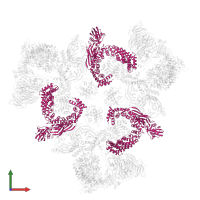 Coatomer subunit gamma-1 in PDB entry 5a1u, assembly 1, front view.