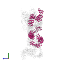 Coatomer subunit gamma-1 in PDB entry 5a1u, assembly 1, side view.