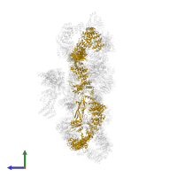 Coatomer subunit beta in PDB entry 5a1v, assembly 1, side view.