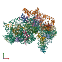 PDB entry 5a2q coloured by chain, front view.