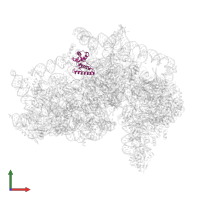 Small ribosomal subunit protein uS15 in PDB entry 5a2q, assembly 1, front view.