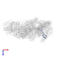 Small ribosomal subunit protein uS10 in PDB entry 5a2q, assembly 1, top view.