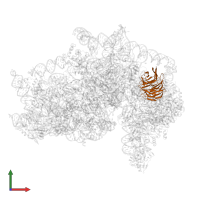 Small ribosomal subunit protein RACK1 in PDB entry 5a2q, assembly 1, front view.