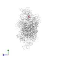 Large ribosomal subunit protein eL19 in PDB entry 5a2q, assembly 1, side view.