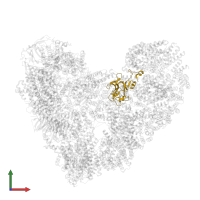 Anaphase-promoting complex subunit 10 in PDB entry 5a31, assembly 1, front view.