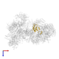 Anaphase-promoting complex subunit 10 in PDB entry 5a31, assembly 1, top view.