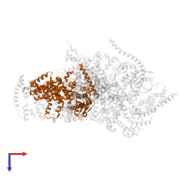 Eukaryotic translation initiation factor 3 subunit C in PDB entry 5a5t, assembly 1, top view.