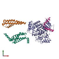 PDB entry 5a6e coloured by chain, front view.