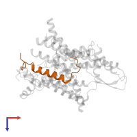 Protein transport protein Sec61 subunit beta in PDB entry 5a6u, assembly 1, top view.