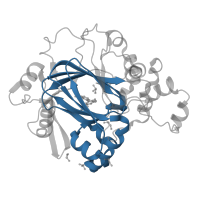 The deposited structure of PDB entry 5a7p contains 2 copies of Pfam domain PF02373 (JmjC domain, hydroxylase) in Lysine-specific demethylase 4A. Showing 1 copy in chain A.