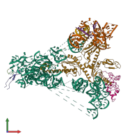 PDB entry 5a8l coloured by chain, front view.