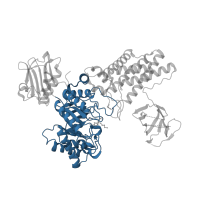 The deposited structure of PDB entry 5abh contains 2 copies of CATH domain 3.20.20.80 (TIM Barrel) in O-GlcNAcase BT_4395. Showing 1 copy in chain A.