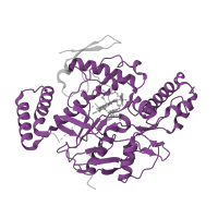 The deposited structure of PDB entry 5adc contains 2 copies of Pfam domain PF02898 (Nitric oxide synthase, oxygenase domain) in Nitric oxide synthase 1. Showing 1 copy in chain B.