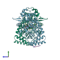 PDB entry 5adi coloured by chain, side view.