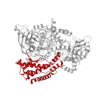 The deposited structure of PDB entry 5ae8 contains 1 copy of CATH domain 1.10.1070.11 (Phosphatidylinositol 3-kinase Catalytic Subunit; Chain A, Domain 5) in Phosphatidylinositol 4,5-bisphosphate 3-kinase catalytic subunit delta isoform. Showing 1 copy in chain A.
