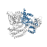 The deposited structure of PDB entry 5ae8 contains 1 copy of CATH domain 1.25.40.70 (Serine Threonine Protein Phosphatase 5, Tetratricopeptide repeat) in Phosphatidylinositol 4,5-bisphosphate 3-kinase catalytic subunit delta isoform. Showing 1 copy in chain A.