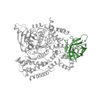 The deposited structure of PDB entry 5ae8 contains 1 copy of CATH domain 2.60.40.150 (Immunoglobulin-like) in Phosphatidylinositol 4,5-bisphosphate 3-kinase catalytic subunit delta isoform. Showing 1 copy in chain A.