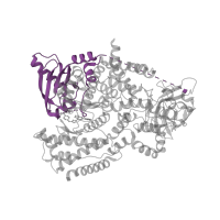 The deposited structure of PDB entry 5ae8 contains 1 copy of CATH domain 3.10.20.90 (Ubiquitin-like (UB roll)) in Phosphatidylinositol 4,5-bisphosphate 3-kinase catalytic subunit delta isoform. Showing 1 copy in chain A.