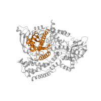 The deposited structure of PDB entry 5ae8 contains 1 copy of CATH domain 3.30.1010.10 (Phosphatidylinositol 3-kinase Catalytic Subunit; Chain A, domain 4) in Phosphatidylinositol 4,5-bisphosphate 3-kinase catalytic subunit delta isoform. Showing 1 copy in chain A.