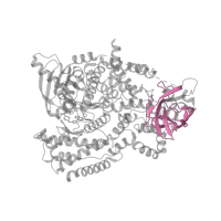 The deposited structure of PDB entry 5ae8 contains 1 copy of Pfam domain PF00792 (Phosphoinositide 3-kinase C2) in Phosphatidylinositol 4,5-bisphosphate 3-kinase catalytic subunit delta isoform. Showing 1 copy in chain A.