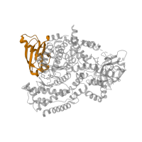 The deposited structure of PDB entry 5ae8 contains 1 copy of Pfam domain PF00794 (PI3-kinase family, ras-binding domain) in Phosphatidylinositol 4,5-bisphosphate 3-kinase catalytic subunit delta isoform. Showing 1 copy in chain A.