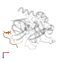 Hirudin variant-2 in PDB entry 5af9, assembly 1, top view.