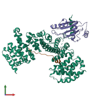 PDB entry 5aff coloured by chain, front view.