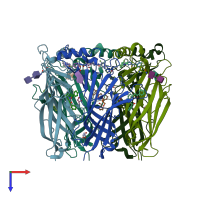 PDB entry 5afk coloured by chain, top view.