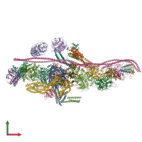 PDB entry 5afu coloured by chain, front view.