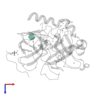 2-acetamido-2-deoxy-beta-D-glucopyranose in PDB entry 5ahg, assembly 1, top view.