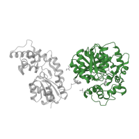 The deposited structure of PDB entry 5ai6 contains 1 copy of CATH domain 3.40.50.1820 (Rossmann fold) in Bifunctional epoxide hydrolase 2. Showing 1 copy in chain A.
