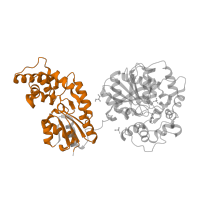 The deposited structure of PDB entry 5ai6 contains 1 copy of Pfam domain PF00702 (haloacid dehalogenase-like hydrolase) in Bifunctional epoxide hydrolase 2. Showing 1 copy in chain A.