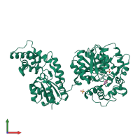 PDB entry 5aib coloured by chain, front view.