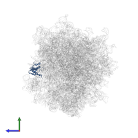 Large ribosomal subunit protein uL6 in PDB entry 5aj0, assembly 1, side view.