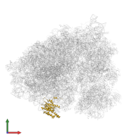 Large ribosomal subunit protein uL18 in PDB entry 5aj0, assembly 1, front view.