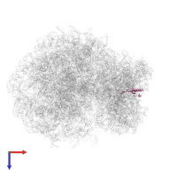 Small ribosomal subunit protein uS10 in PDB entry 5aj0, assembly 1, top view.