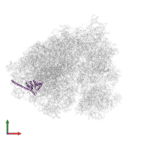 Large ribosomal subunit protein uL30 in PDB entry 5aj0, assembly 1, front view.