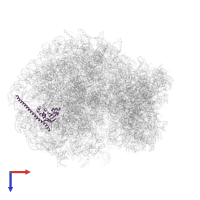 Large ribosomal subunit protein uL30 in PDB entry 5aj0, assembly 1, top view.
