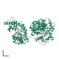PDB entry 5ak5 coloured by chain, front view.