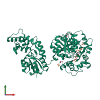 PDB entry 5alp coloured by chain, front view.
