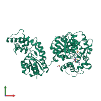 PDB entry 5alw coloured by chain, front view.