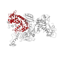 The deposited structure of PDB entry 5anb contains 1 copy of Pfam domain PF00009 (Elongation factor Tu GTP binding domain) in Elongation factor-like GTPase 1. Showing 1 copy in chain K.