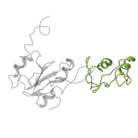 The deposited structure of PDB entry 5anb contains 1 copy of Pfam domain PF17777 (Insertion domain in 60S ribosomal protein L10P) in Large ribosomal subunit protein uL10. Showing 1 copy in chain C.