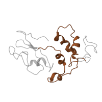 The deposited structure of PDB entry 5anb contains 1 copy of Pfam domain PF00298 (Ribosomal protein L11, RNA binding domain) in Large ribosomal subunit protein uL11. Showing 1 copy in chain D.